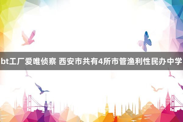 bt工厂爱唯侦察 西安市共有4所市管渔利性民办中学