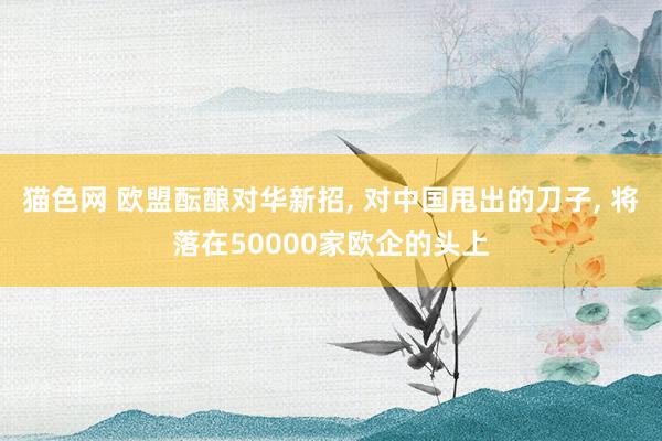 猫色网 欧盟酝酿对华新招， 对中国甩出的刀子， 将落在50000家欧企的头上