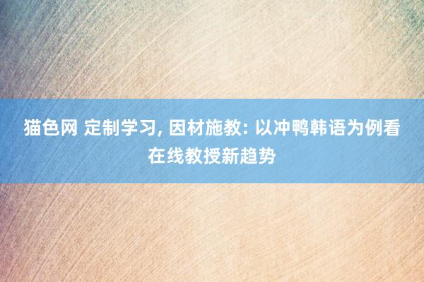 猫色网 定制学习， 因材施教: 以冲鸭韩语为例看在线教授新趋势