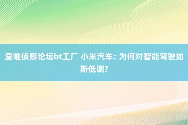 爱唯侦察论坛bt工厂 小米汽车: 为何对智能驾驶如斯低调?
