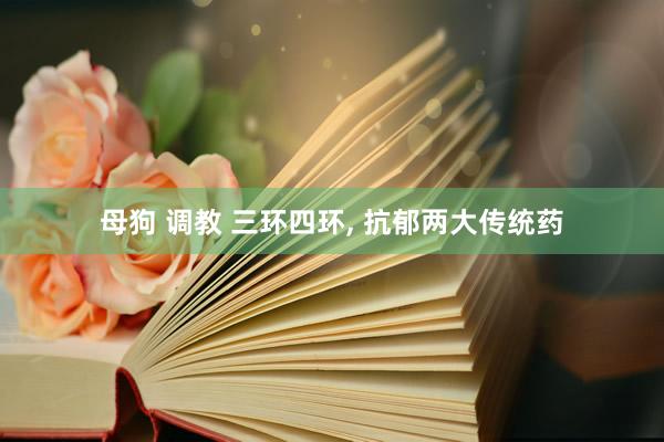母狗 调教 三环四环， 抗郁两大传统药